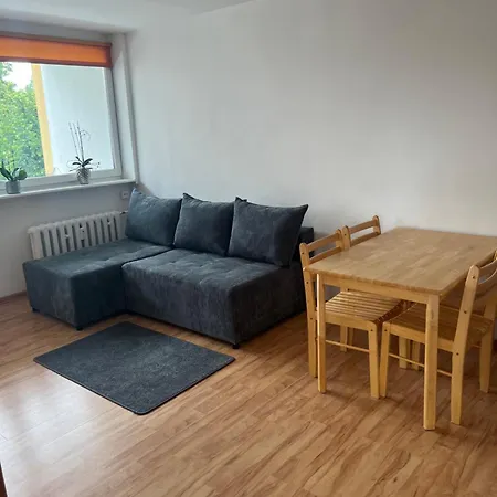 Mieszkanie Centrum Apartment *